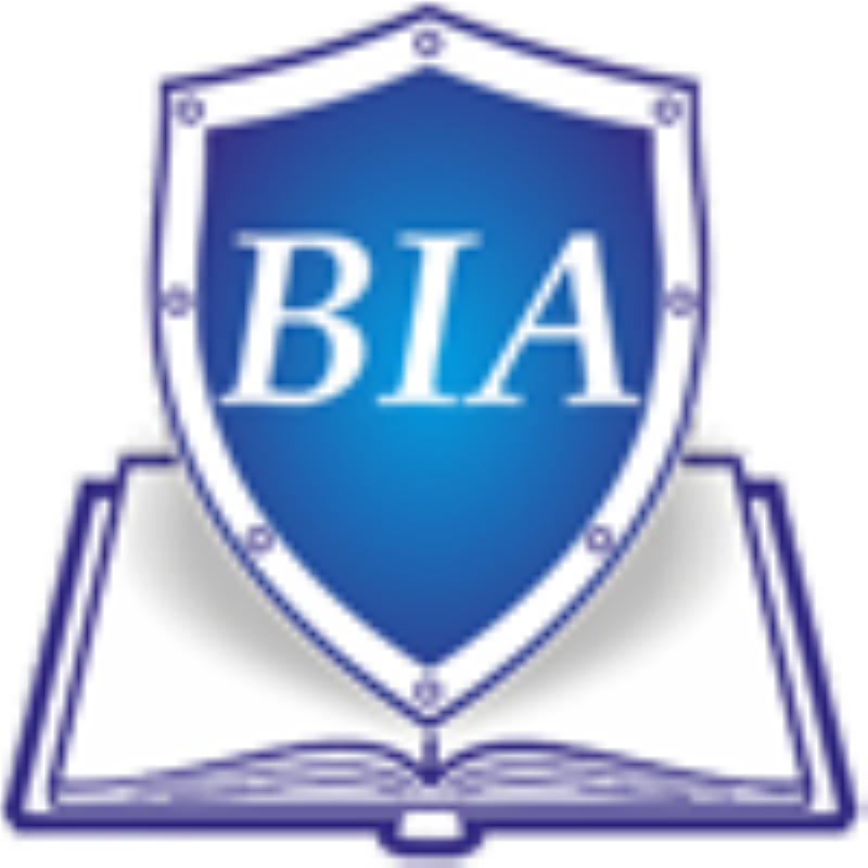 Balans-Inform-Audit, LLC Logo